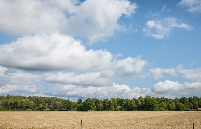 4 bedroom House in Johannishus with garden - Photo 27