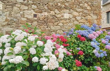 17th century house with swimming pool - Foto 36