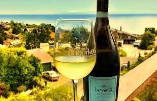 Rent Laguna Beach Sanctuary - Foto 18