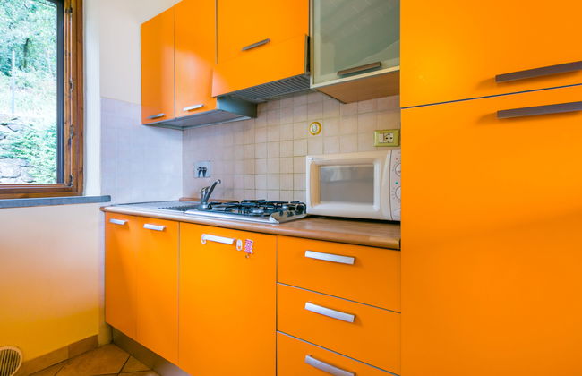 Fiordaliso - Foto 11