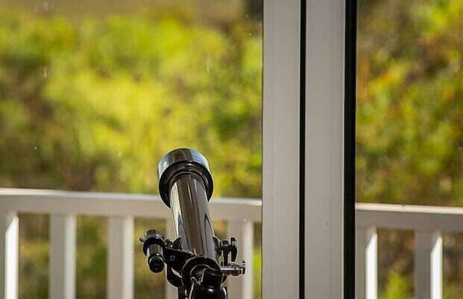 The Lookout - Foto 39