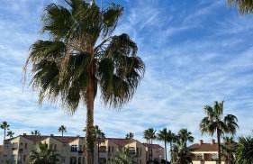 Apartamento Marina del Sol 121 - Foto 34