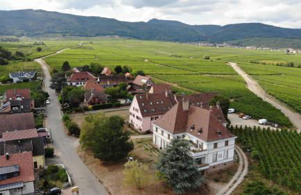 gîtes au domaine Greiner - Foto 1