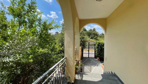 Vesuvius garden - Photo 3