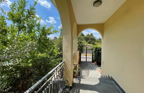 Vesuvius garden - Photo 3