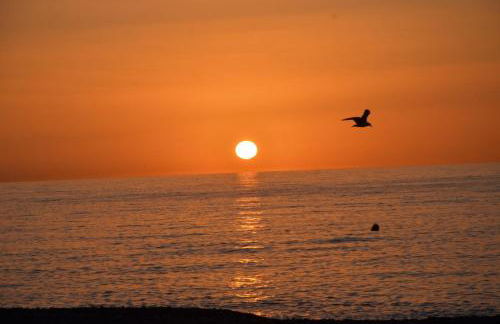 LOS FRAILES I - Foto 42