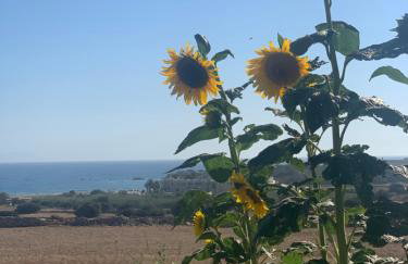 Marikos House, Pyrgaki Alyko Naxos - Foto 45