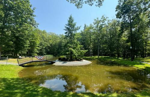 The Flying Dutchman Cottage in amenities filled Masthope community Ski Big Bear - Foto 35