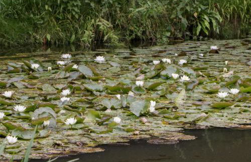 36 High Street - Photo 33