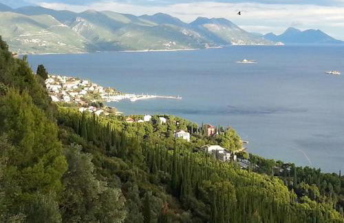 Sea Forever Apartments - Photo 8