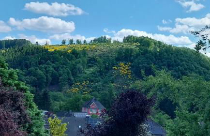 Ferienhaus Agi - Foto 16