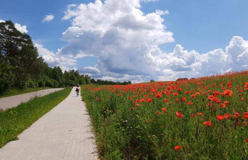 Kamienny Ogród Holiday Park - Foto 93