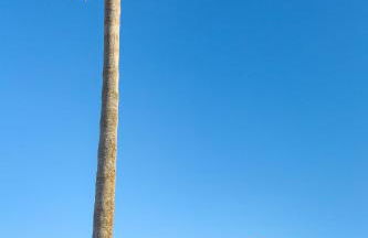 Villa Palmera - Foto 56