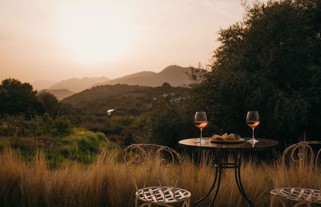 Albero Capovolto Country & Sea - Foto 30