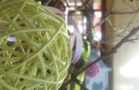 Agriturismo Oro di Berta - Foto 24