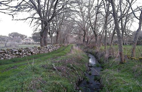 Pátio da Caetana - Foto 144