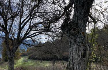 The Lake house Feneos - Foto 39