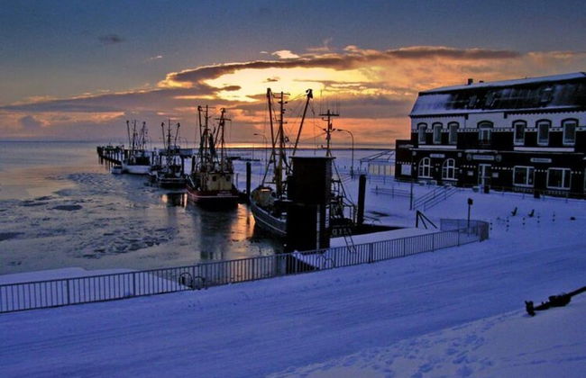 Ferienwohnung im Reetdachhaus auf der Pellworm - Foto 14