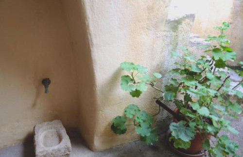 Axion Studios - Foto 14