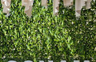 Arcus Luxury Suites Karpathos - Foto 24