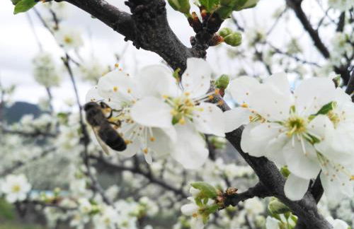 Apartamentos Rurales Tierras de Granadilla - Foto 17