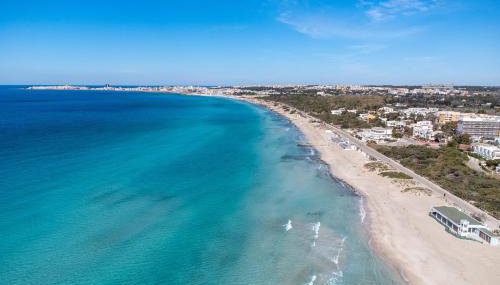 La rimesa di Tittì - Simone - Foto 5