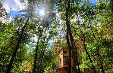 Tree Houses Olszanka - Photo 16