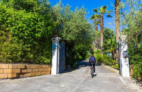 Sicily Authentic Cottage, Outdoor Hot Tub & Century-Old Olive Park, Donna Caterina House - Foto 27