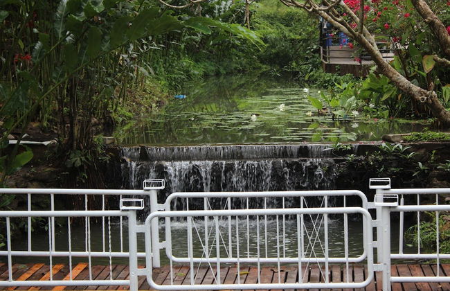 The Stove House Hang Dong Chiang Mai - Foto 37