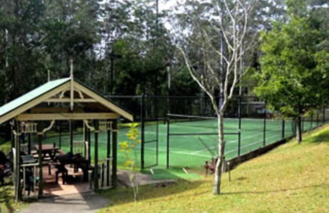 Barrington Wilderness Cedar Lodge Accommodation - Foto 12