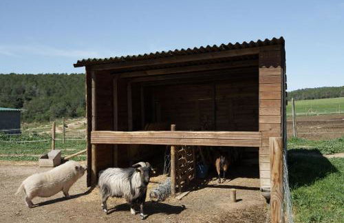 Mas El Brugué - Foto 19