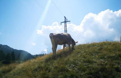 La Beccaccia - Photo 49