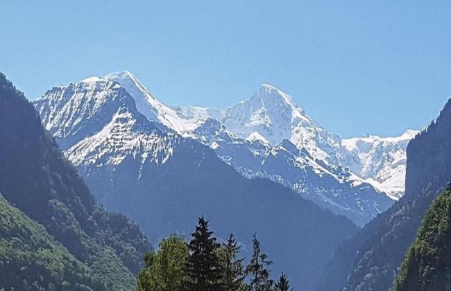 Pristine Home in a Charming Village, Large Grassy Sunbathing Area, View of the Mönch and Jungfrau - Foto 26