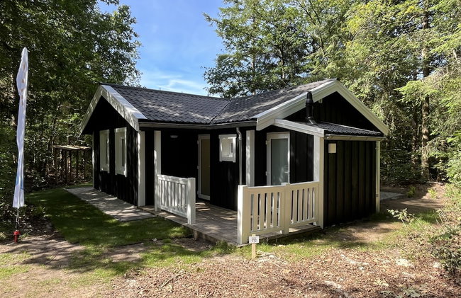 Vakantiepark De Wiltzangh - Foto 5