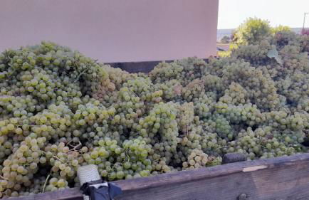 Appartement Indépendant Chagny - Foto 42