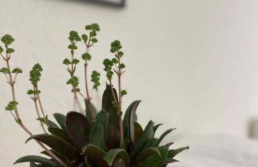 Modern Comfort in Central Hamburg 3 Room Apartment - Foto 5