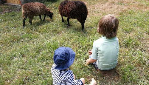 Gîte Le Lodigo - Foto 2