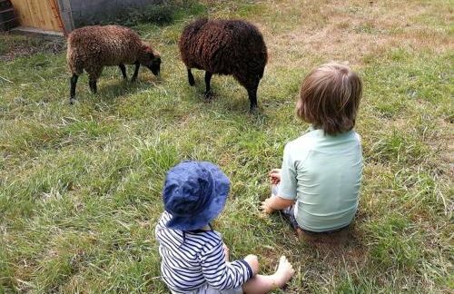 Gîte Le Lodigo - Foto 2