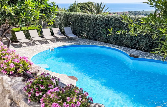 Melograno di Patrizia - Foto 21