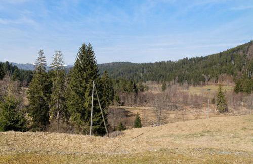 Alte Schmiede - Foto 8