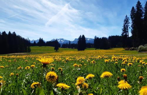 Ferienwohnungen beim Sommermader - Foto 45