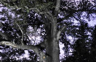 Villa Lakki Heated round pool Jacuzzi - Foto 33