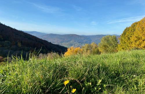 Ferienapartment 38 Sonnenwald - Foto 72