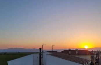 LE FLAMANT ROSE - Foto 23