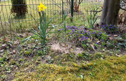 Glücksfleckerl - Foto 31