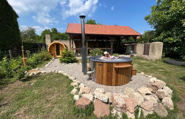 Pension Zelený grunt - Photo 53