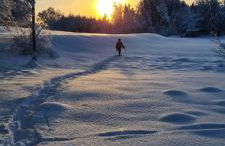 Ferienwohnung Hensel am Herzmannser See - Foto 4