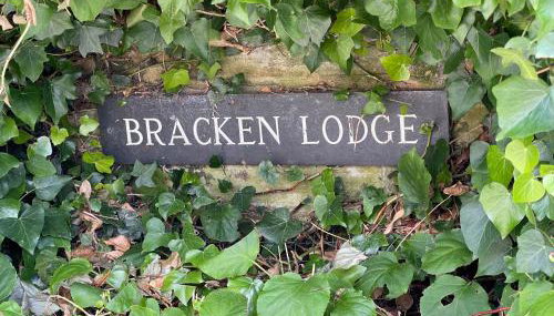 Brighouse Studio - Pet Friendly! - Free Parking - Foto 3, Garden