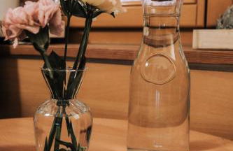 Luggishof - Photo 15