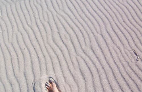 Albaria Lodge - Foto 42